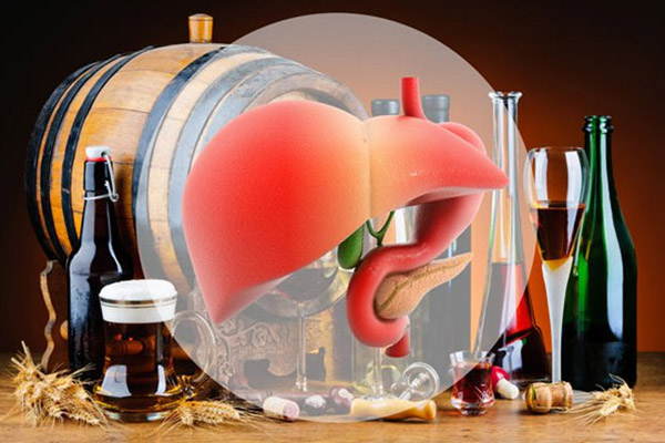 Rượu bia gây tác hại đến các cơ quan của cơ thể, đặc biệt là khiến tổn thương chức năng gan nghiêm trọng